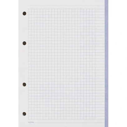 Сменный блок для тетрадей на кольцах, BeSmart А5 120л клетка Цветной N001d