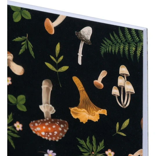 Альбом для рисован.КомусКласс Ночной лес40л 200х240мм обл.карт мат.лам.черн