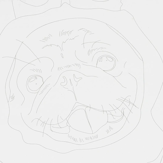 Набор для рисования Скетчинг акварелью Модные пёсики, Рн-044