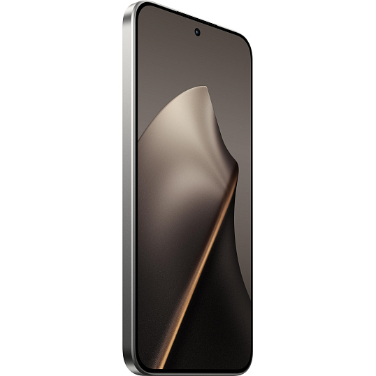 Смартфон Xiaomi 15T RU 12+256 Gray
