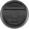 Акустическая система Digma D-MC1721 черный 10Вт/FM/USB/BT/micro SD