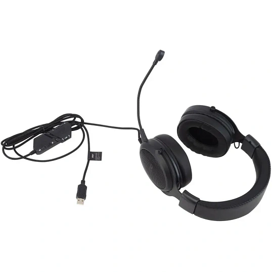 Гарнитура Acer AHW120 черный 2.1м USB (ZL.HDSCC.01C)