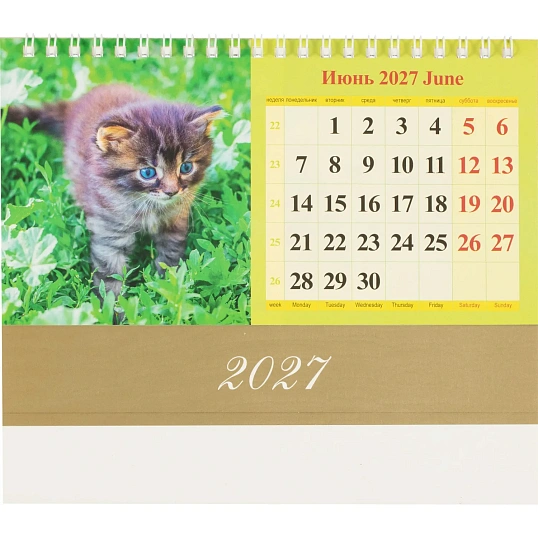 Календарь-домик настольный 2027 Котята 1спир 200х140  0927007