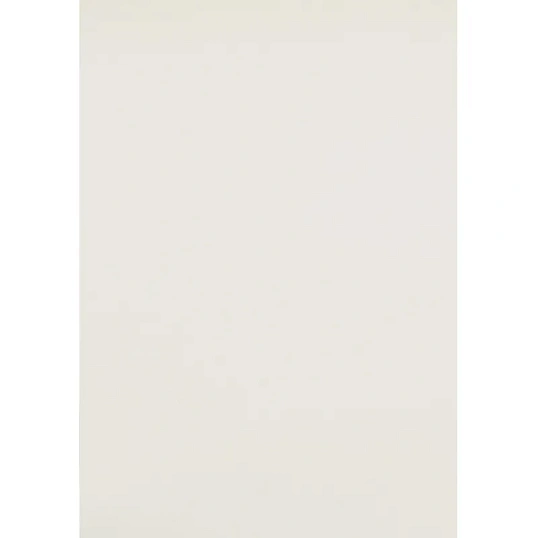 Картон цветной Выбор есть Отличник 20л 10цв А4 мелован.пакет