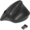 Мышь компьютерная UGREEN M571 (55916) беспров.вертик.2.4 GHz черн