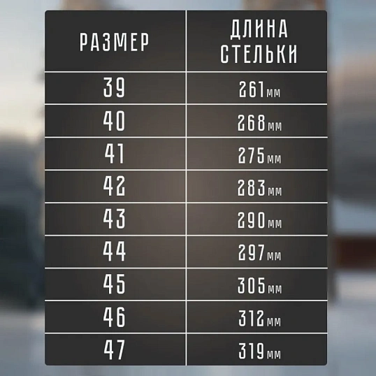 Сапоги войлочные 'Мороз' (р.47) (М7)