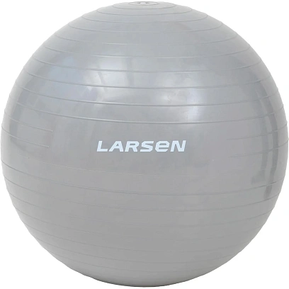 Мяч гимнастический с насосом Larsen HG-3 серебристый 65 см, 371181