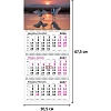 Календарь настенный 3-х блочный 2027 Attache танцующие птицы 305х675мм
