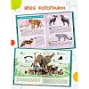 Энциклопедия детская  Животные МС14323