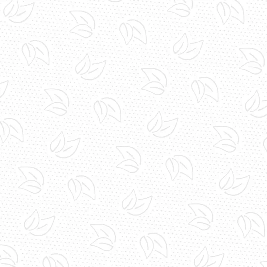 Полотенца бумажные Z слож PROtissue 2сл 200л 21пач/уп С442