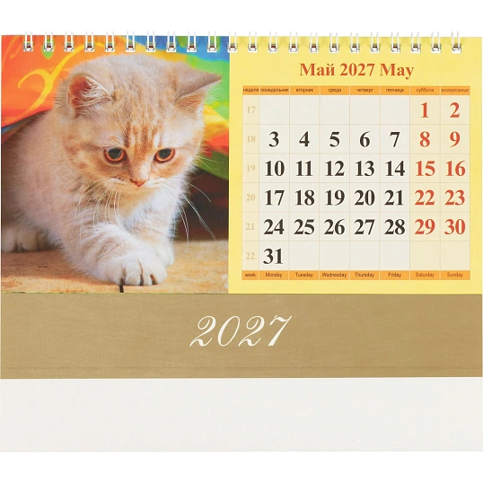 Календарь-домик настольный 2027 Котята 1спир 200х140  0927007