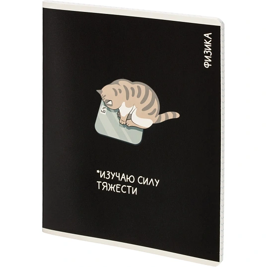 Тетрадь предметная КОТЫ МЕМЫ, набор12 шт.48л,А5+, клетка/линия/71449