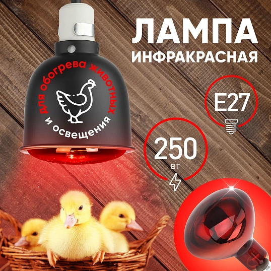 Лампа инфракрасная ЭРА ИКЗК 220-250 R127 для обогрева животных 250 Вт Е27