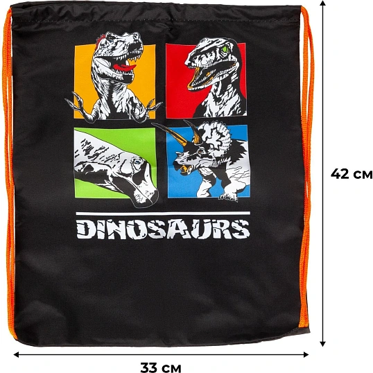 Мешок для обуви Dinosaurs, 330x420 мм, МО-20