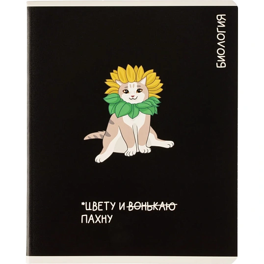 Тетрадь предметная КОТЫ МЕМЫ, набор12 шт.48л,А5+, клетка/линия/71449