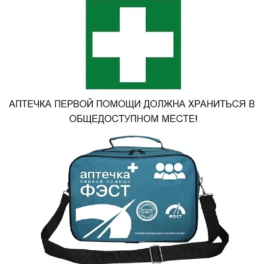 Аптечка первой помощи энергетика ФЭСТ (сумка) арт 1284