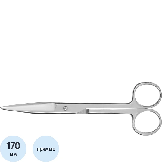 Ножницы остроконечные прямые, 170 мм Н-245