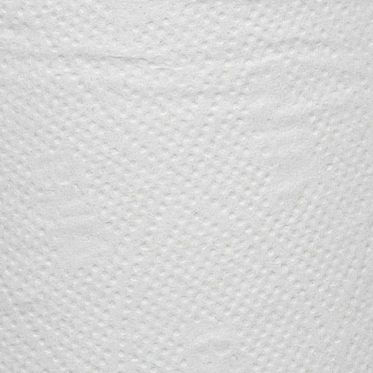 Бумага туалетная д/дисп 1сл бел макул втул 200м 12рул/уп 200W1