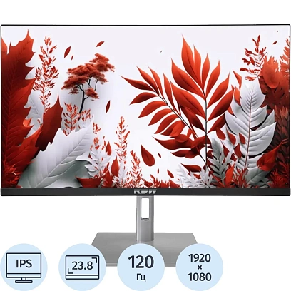 Монитор RDW Computers 23.8 RDW2407 FHD/IPS/HAS Piv/120Гц/VGA/HDMI/DP/черн