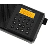 Радиоприемник Hyundai H-PSR115 черный USB microSD