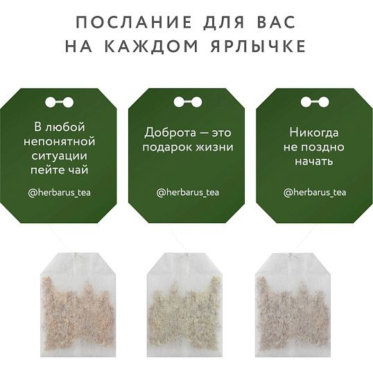Чай Herbarus Ассорти, коллекция Moments Подарок, 30 пакетиков, 6 вкусов НГ