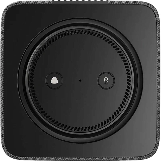 Умная колонка Яндекс Станция Макс Zigbee, графит/black (YNDX-00053K)