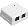 Розетка внешняя двойная ExeGate SM2-RJ45-C5 RJ-45 кат.5/5E UTP Krone/110