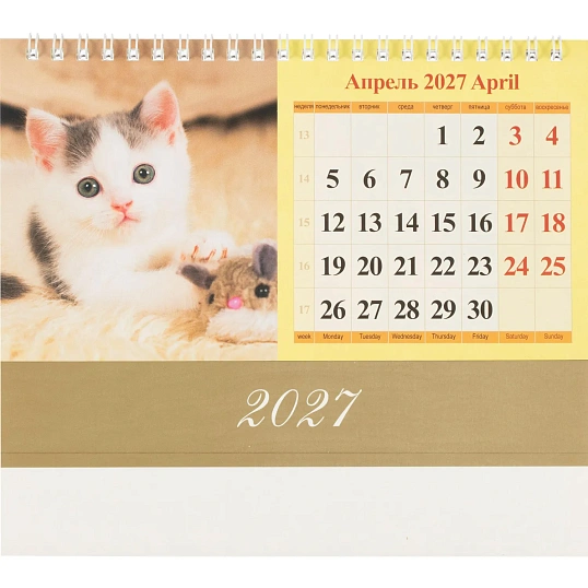 Календарь-домик настольный 2027 Котята 1спир 200х140  0927007