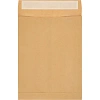 Пакет крафт E4 стрип Extrapack 300х400х40 120г 250шт/уп/6586