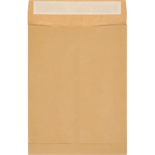 Пакет крафт E4 стрип Extrapack 300х400х40 120г 250шт/уп/6586