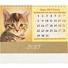 Календарь-домик настольный 2027 Котята 1спир 200х140  0927007