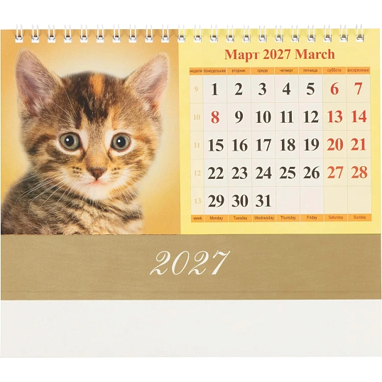 Календарь-домик настольный 2027 Котята 1спир 200х140  0927007
