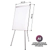 Флипчарт 70х100 на треноге