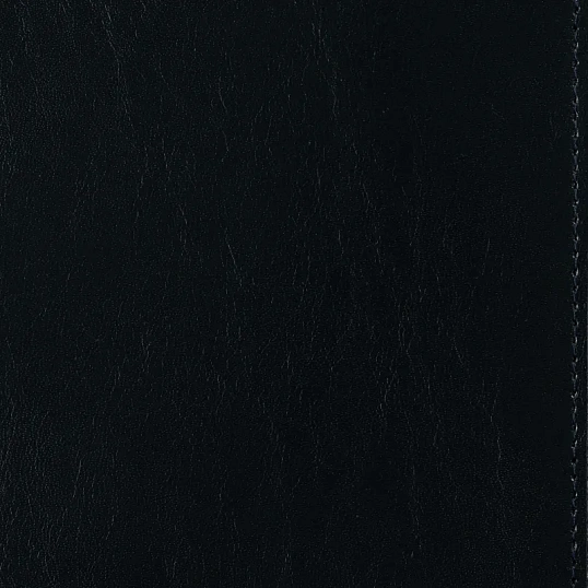 Ежедневник полудатированный синий,A5,152х222мм,Br.V.PROFY 3-073/01