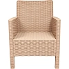 Кресло TDT_садовое капучино под ротанг