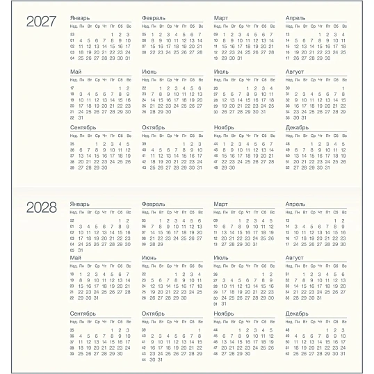 Еженедельник датированный 2027 IF 160x90мм 64л мягк Дереза I2094/white