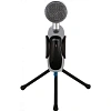 Микрофон Ritmix RDM-127 USB Black