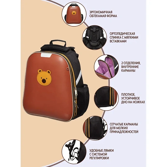 Ранец Комус Класс Мордочки Мишка, 2 отд., эргоном. спинка