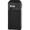 Акустическая система Panasonic SC-UA30GS-K