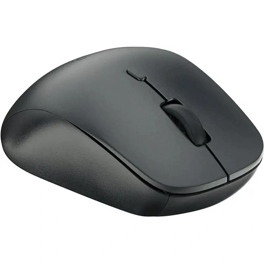Мышь компьютерная RAPOO (M50PLUS-BL) беспроводная черная