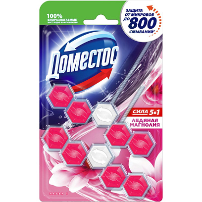 Блок для унитаза ДОМЕСТОС ПАУЕР 5 ДУО Ледяная магнолия 2х55гр на блистере
