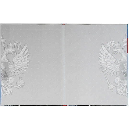 Дневник школьника СИМВОЛИКА МЕДВЕДЬ 7БЦ,А5+,48л,глянц. 69756