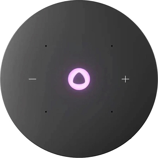 Умная колонка Яндекс Станция Мини 3 Про, Zigbee, серый (YNDX-00059GRY)