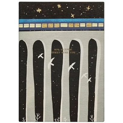 Ежедневник датированный 2026 IF 14х20см 176л, мягкий, Nightfall I1736/train