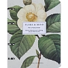 Тетрадь общая, BS, А5, 120л., клетка, кольца, Flora, камелия N4758