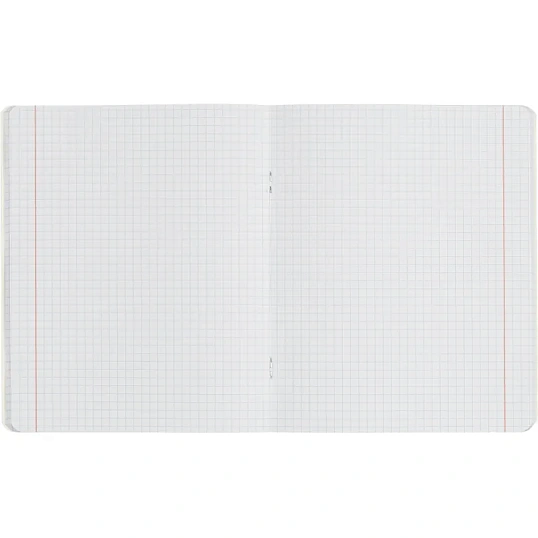 Тетрадь предметная набор Комус Класс  Котики 12 шт., 48., А5