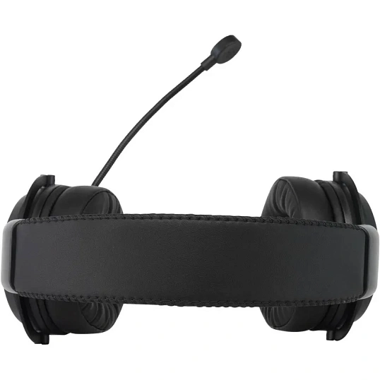 Гарнитура Acer AHW120 черный 2.1м USB (ZL.HDSCC.01C)