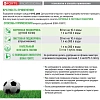 Удобрение жидкое Bona Forte Professional INTENSIVE GRASS, 5000мл,BF21170152