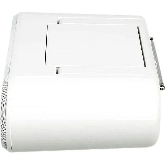 Магнитола Panasonic RX-D550GS-W