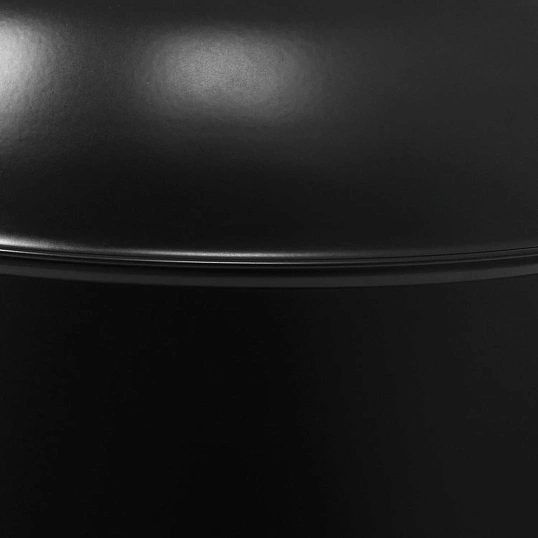 Контейнер для мусора (корзина) Luscan Prof 50л,матов.черный с кругл.крышкой